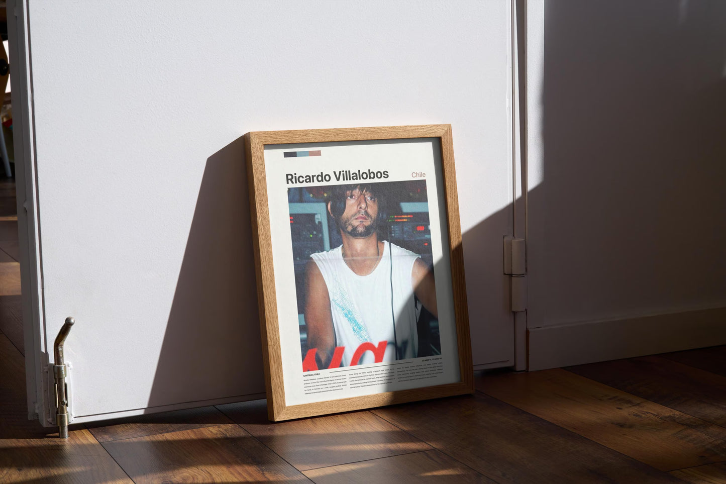 Ricardo Villalobos DJ Poster